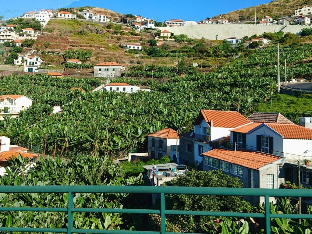 Blick auf eine Hügellandschaft mit üppig grünen Bananenplantagen